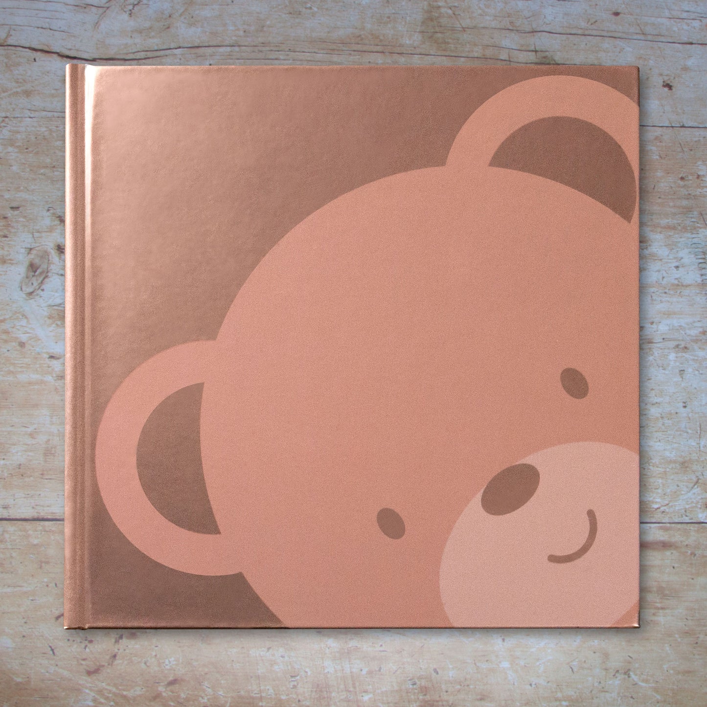 Teddy Bear Photograph Album / Memory Book