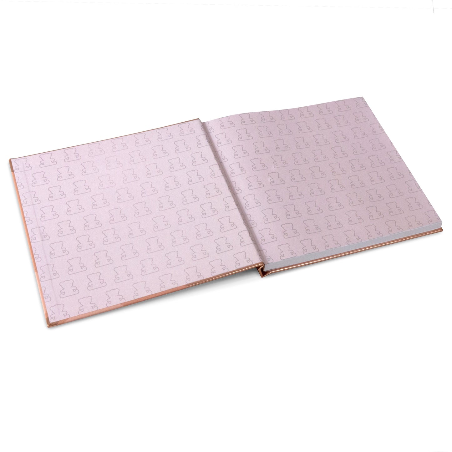 Teddy Bear Photograph Album / Memory Book